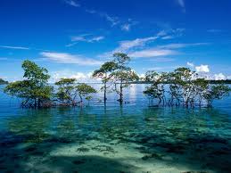 Andaman and Nicobar Islands - Top 10 Smallest States of India - Ten Smallest States of India by area - Smallest Indian states area wise 